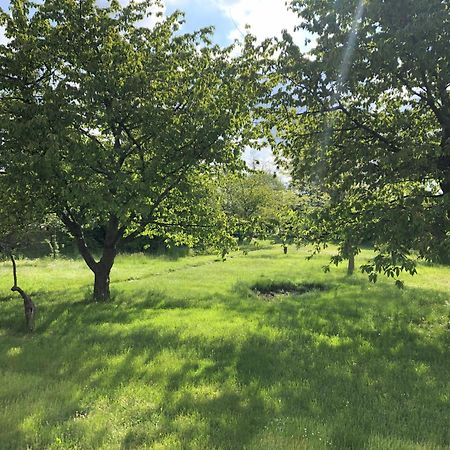 Hof Maerkische Heide Vandrarhem Brandenburg  Exteriör bild
